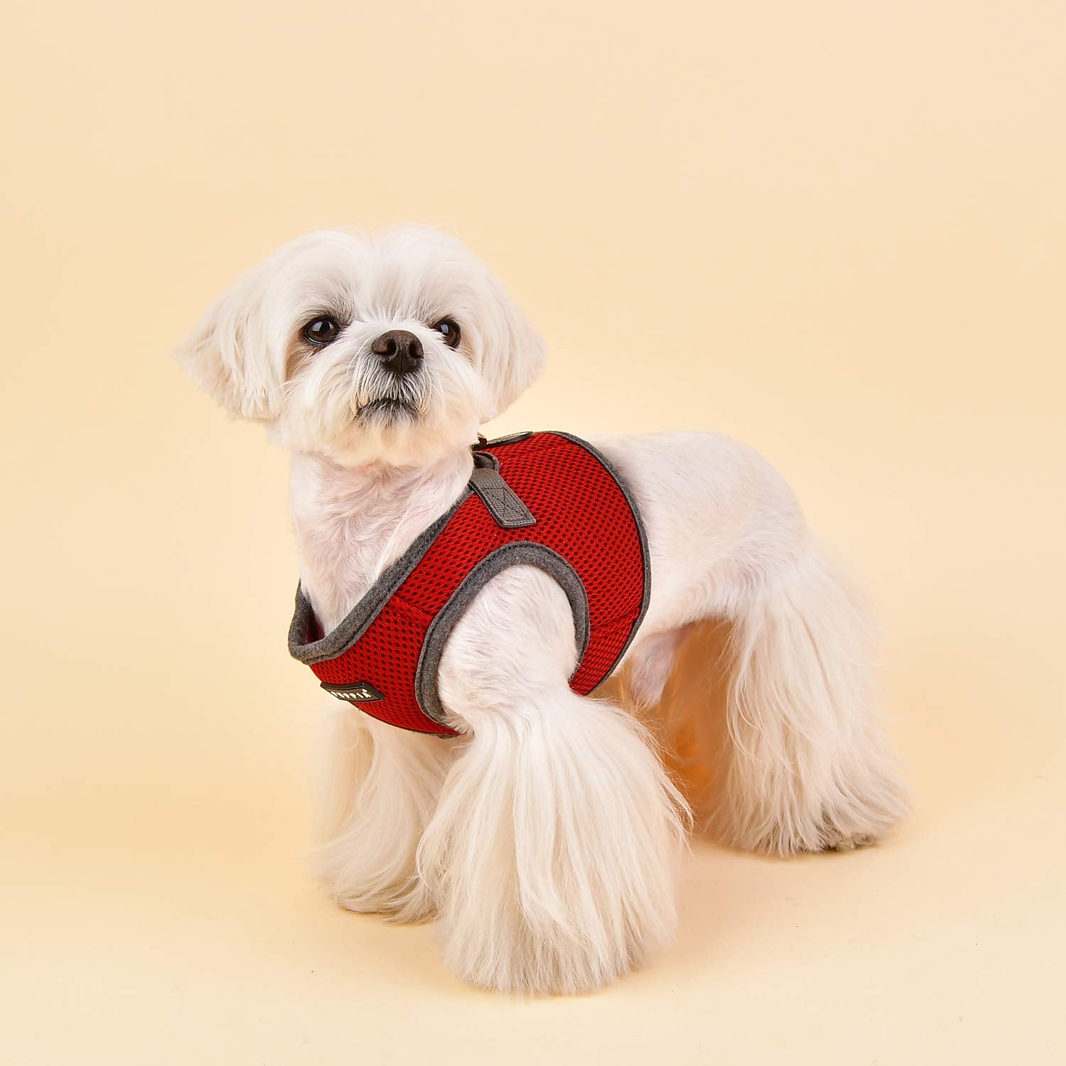 Puppia Soft Vest Harness B Ii - Wine - Xl