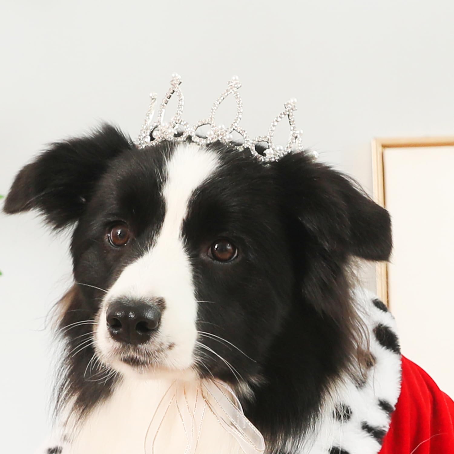 Lovelyshop Pet Series Silver Plated Royal Rhinestone Pearl Full Round Dog/Cat Crown For Rolyal Family Costume Hair Accessories-L
