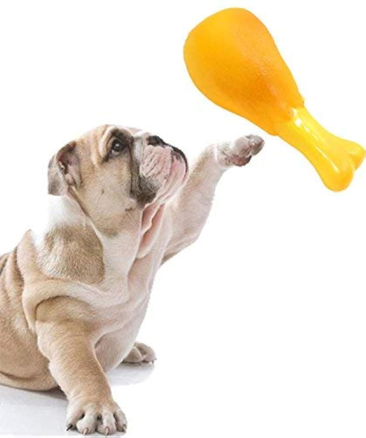 Sage Square Dog Squeaky Chicken Leg Colorful Rubber Toy For Safe Fun & Entertainment  Perfect For Dogs, Puppies, Cats & Kittens