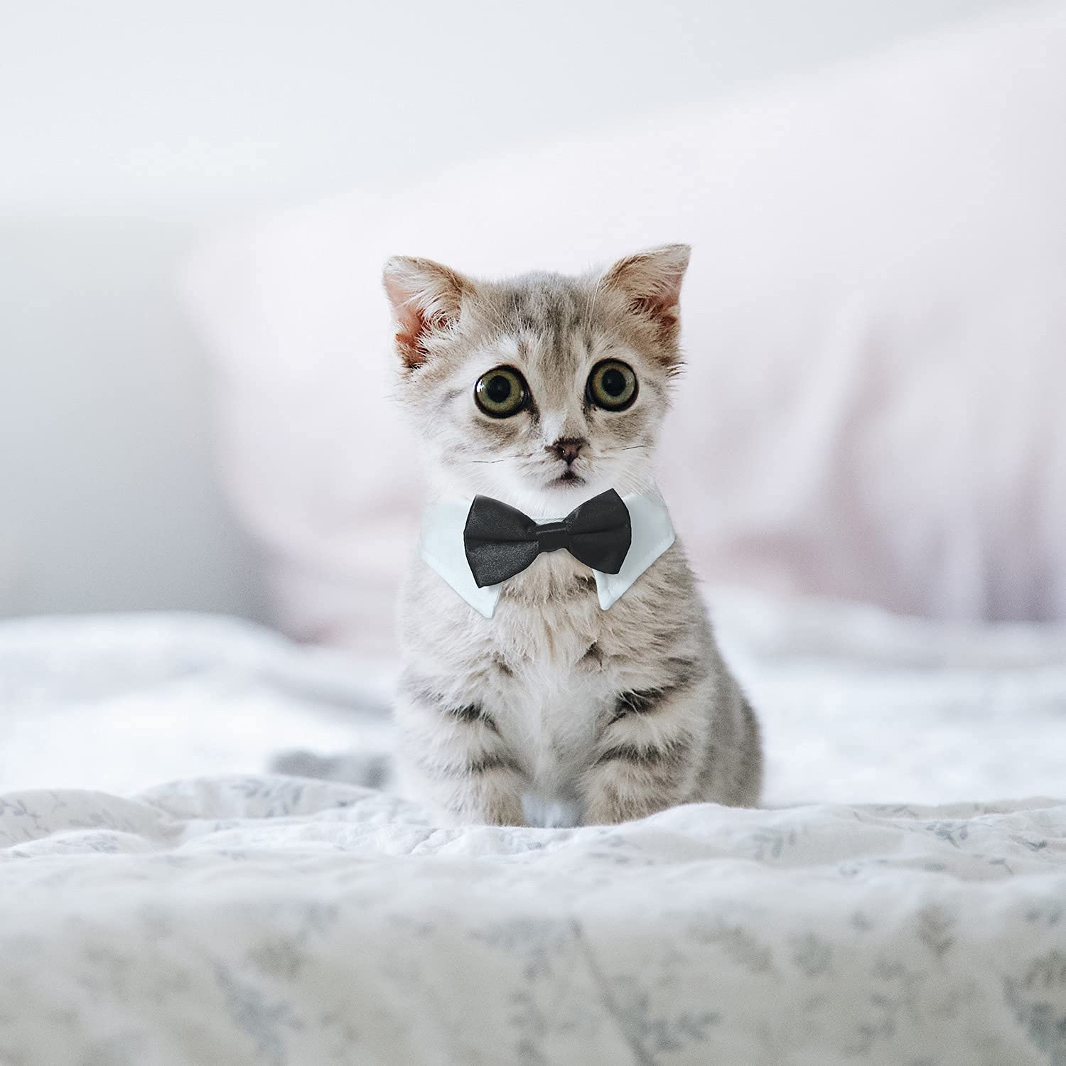 Cat Tuxedo Collar, Koolmox Black Dog Bow Tie With Handcrafted Adjustable Suit White Collar, Formal Puppy Bow Tie Tux Collar For Small Boy Pets Weddings Birthday Easter Photography Grooming Bows