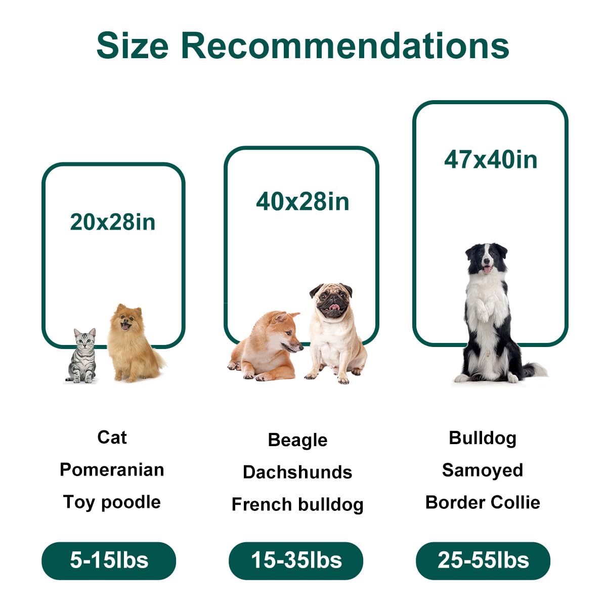 Onarway Dog Blanket Washable For Bed: 2 Packs Dog Blankets 40   X47    - Fluffy Soft Large Throw For Cat Puppy Kitten Dogs - Fle