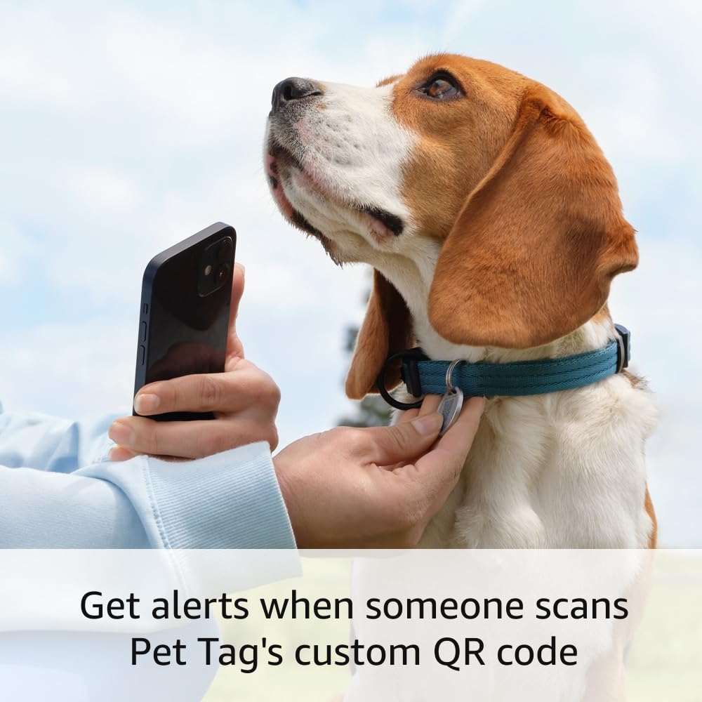 Ring Pet Tag | Easy-To-Use Tag With Qr Code | Real-Time Scan Alerts | Shareable Pet Profile | No Subscription Or Fees