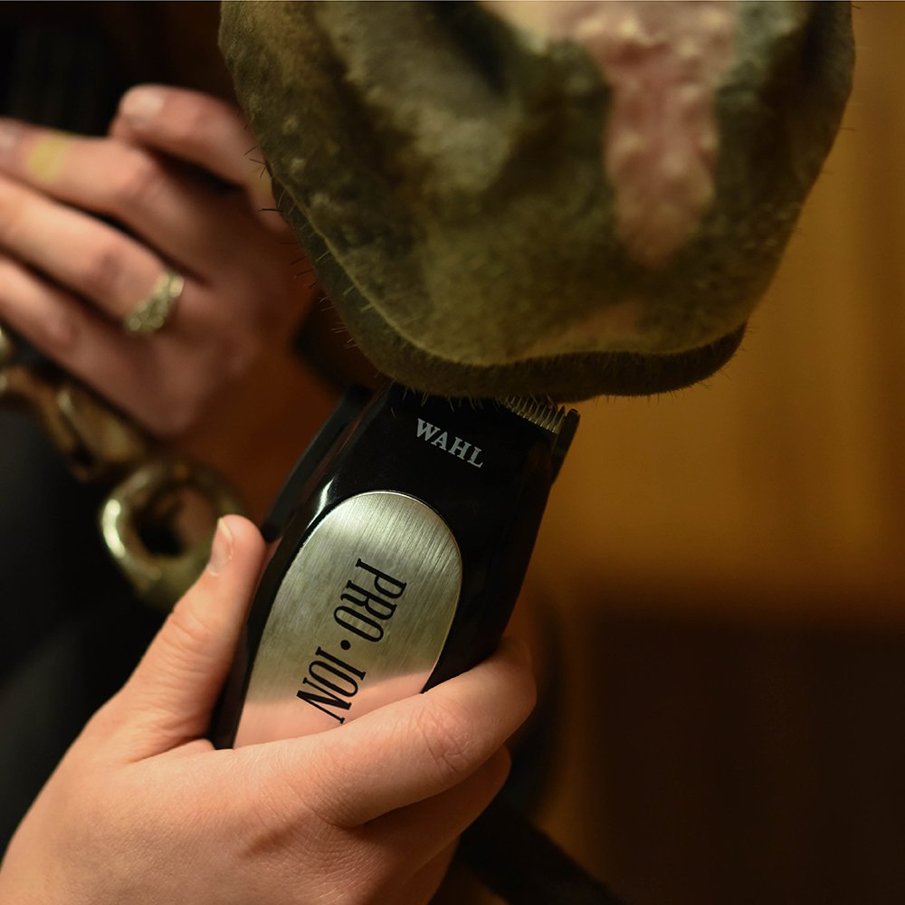 Wahl Professional Animal Pro Ion Equine Cordless Horse Clipper And Grooming Kit