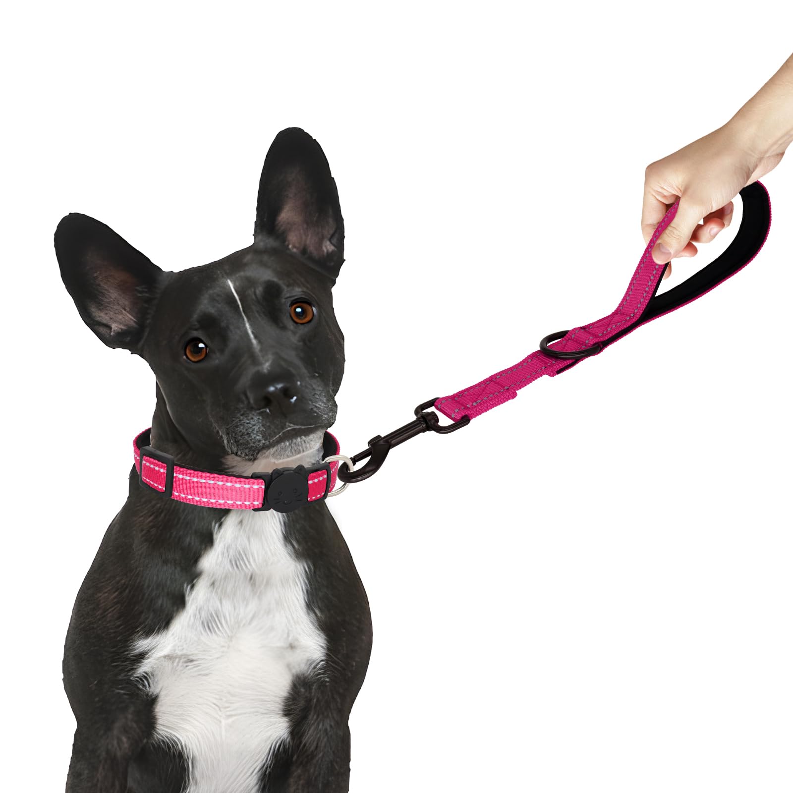 Giecooh Short Dog Leash, Reflective Traffic Leash With Padded Handle, 2 Ft Nylon Training Leashes For Small Meidum Large Dogs, H