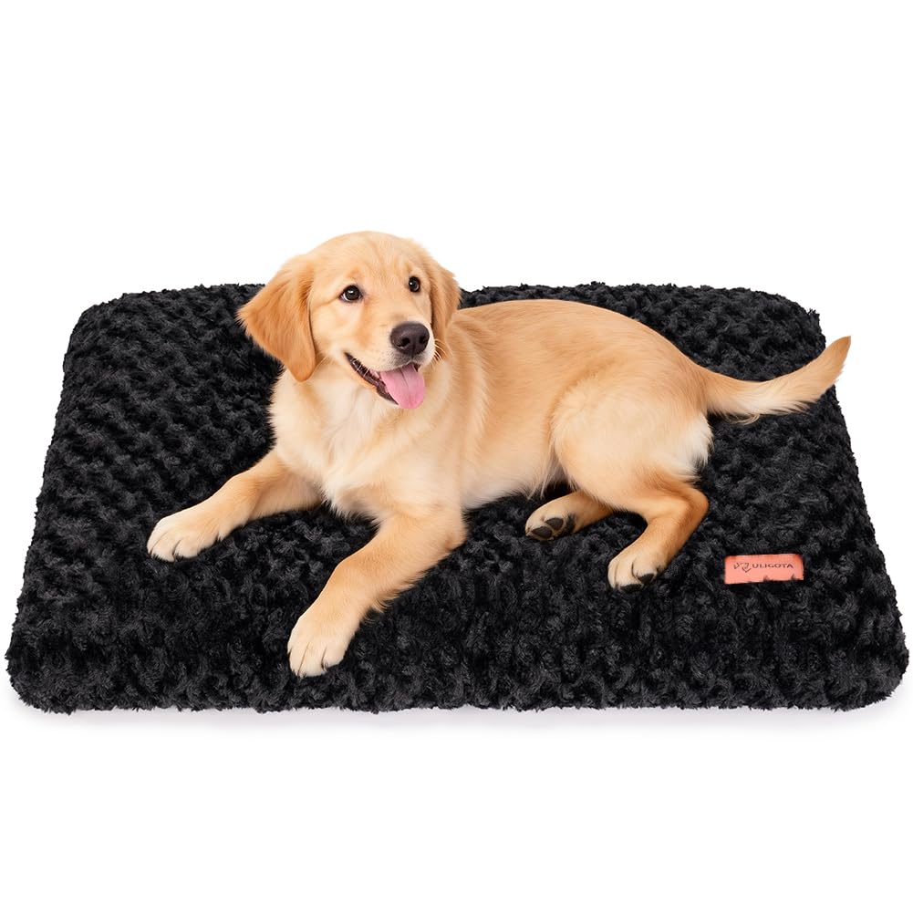 Dog Bed Crate Pad - Rosette Pattern White Velvet Pet Bed Anti-Slip Comfy Kennel Pad for Crates Rosette Black M