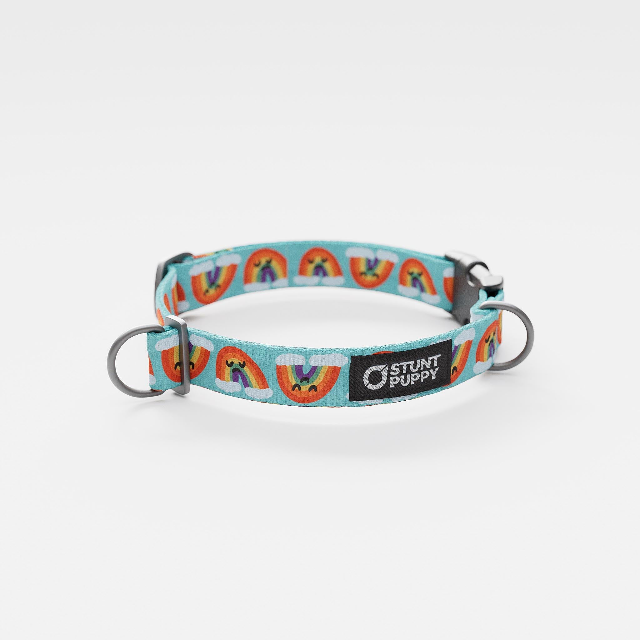 Stunt Puppy, Jill Kittock Artist Series Everyday Collar, Rainbows, Small