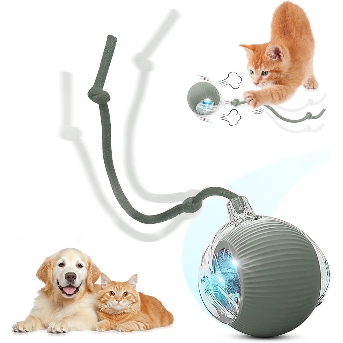 Silvewillo Interactive Electric Automatic Rolling Moving Usb Rechargeable Self Activated Play Stimulation Toy Smart Chase Teaser