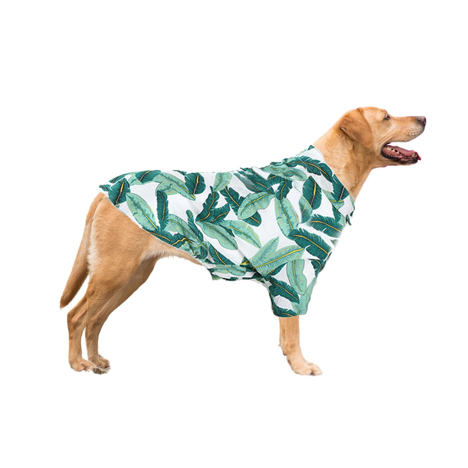 Harikaji Dog Hawaiian Shirt, Summer Pet Clothes Large Dog Cool Costume Beach T-Shirt For Medium Large Dog (Green Leaves,4Xl)