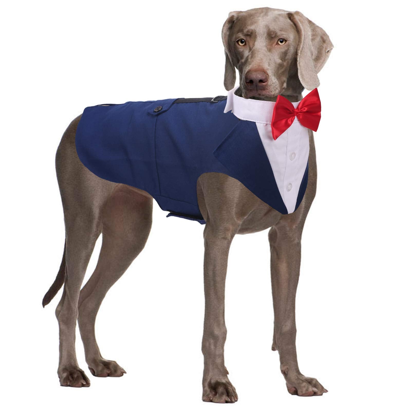 Qbleev Dog Tuxedo For Large Dogs, Dog Suit And Bandana Set, Dog Wedding Outfit With Bow Tie, Formal Dog Tux Dog Costume Halloween Dog Christmas Outfit For Birthday Party Cosplay, Blue Xl