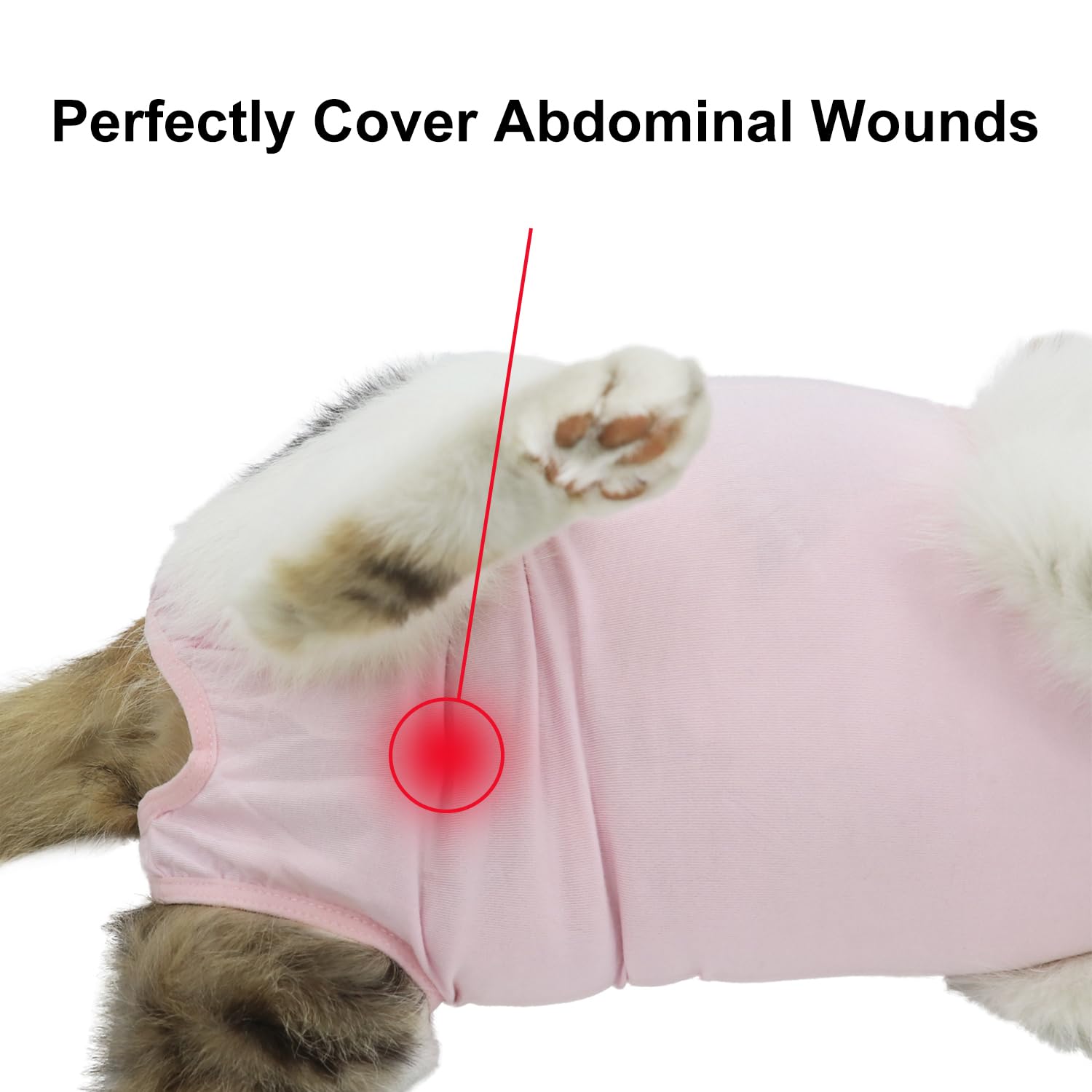 Qiyadin Cat Recovery Suit, Surgical Recovery Clothes For Abdominal Wound Or Skin Disease, Cats Onesie After Surgery And Spay, E-
