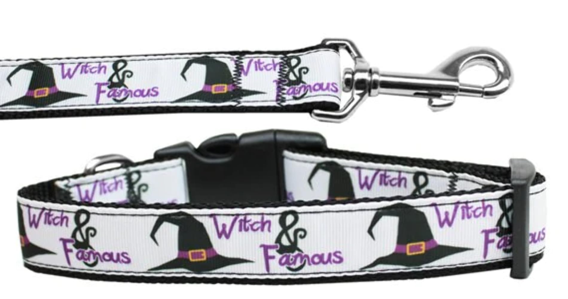 Halloween Pet Dog & Cat Nylon Collar or Leash, "Witch and Famous" 1" w x 6 ft. leash
