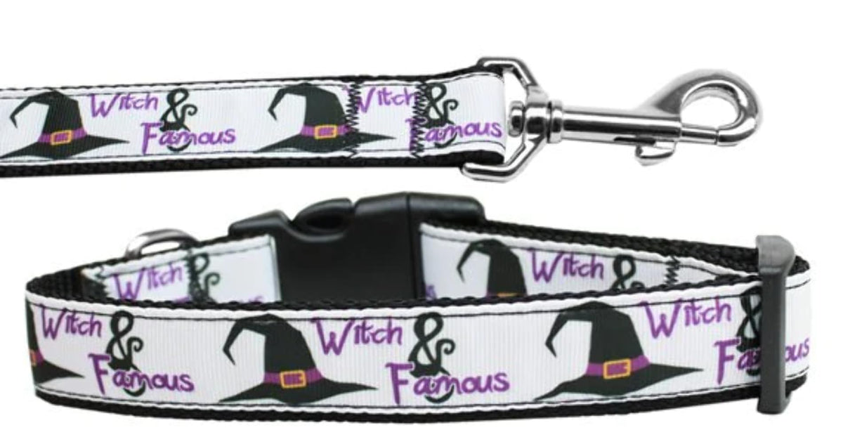 Halloween Pet Dog & Cat Nylon Collar or Leash, &quot;Witch and Famous&quot; XS Collar\