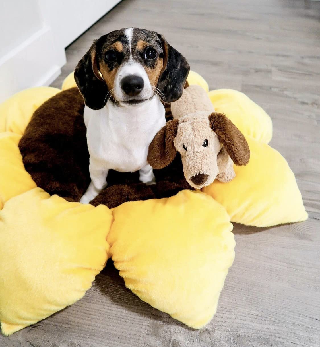 TONBO Soft Plush Dog Cat Bed, 24" Diameter, Polyester, Washer & Dryer Friendly, Sunflower Color, Model 13253