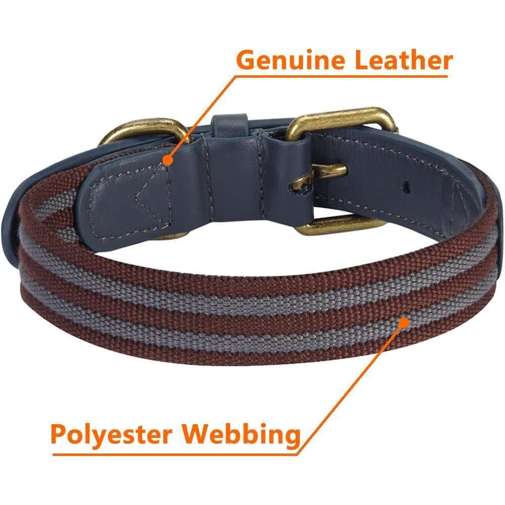Blueberry Pet Soft Genuine Leather Dog Collar For Small Dogs - Adjustable Stylish Dog Collars, Leather Dog Collar In Noir Grey/B