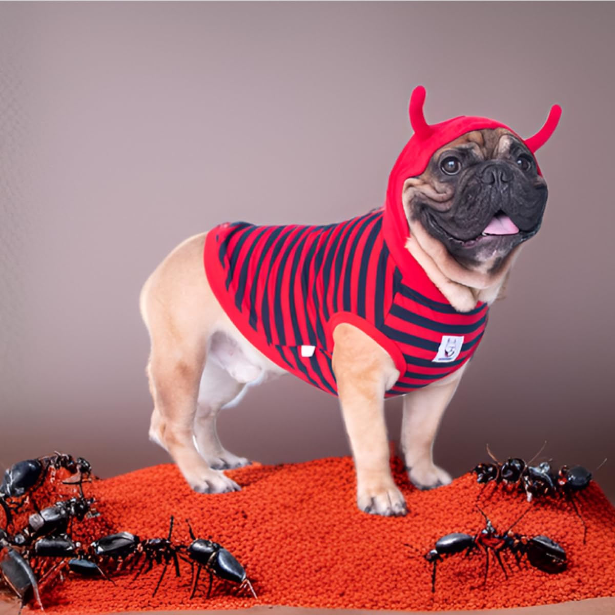 Ichoue Little Devil Fire Ant French Bulldog Costumes Hoodies Clothes Outfits Funny Cosplay Winter Coats Sweaters Pullovers For Small Medium Dogs Frenchie Pug English Boston - Red, Large Plus