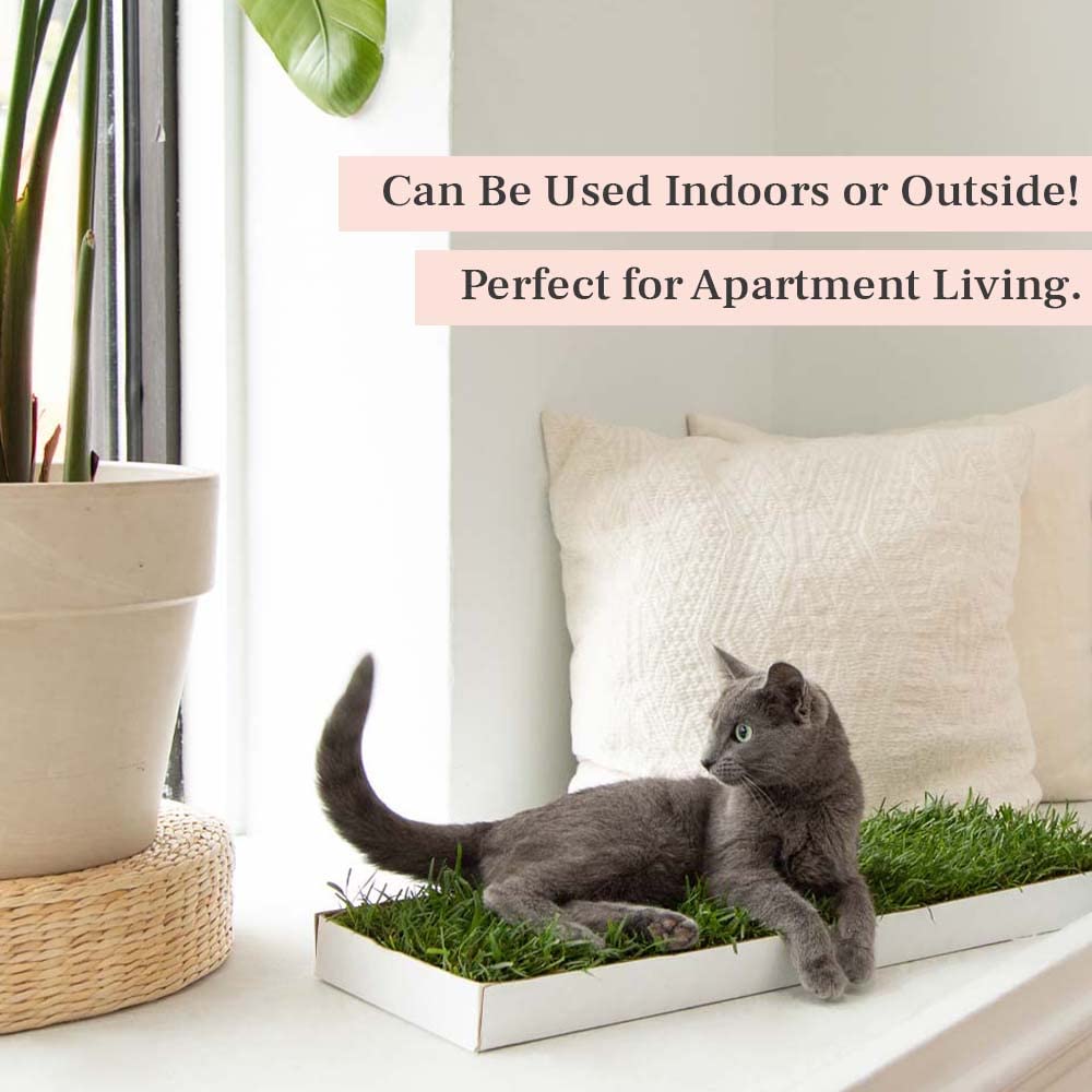 Doggielawn Real Grass Puppy Pee Pads- 24 X 9 Inches - Perfect Indoor Litter Box For Dogs - No Mess, Easy-To-Use - Potty Training For Pets - Eco-Friendly Disposable Bathroom With Real Living Grass