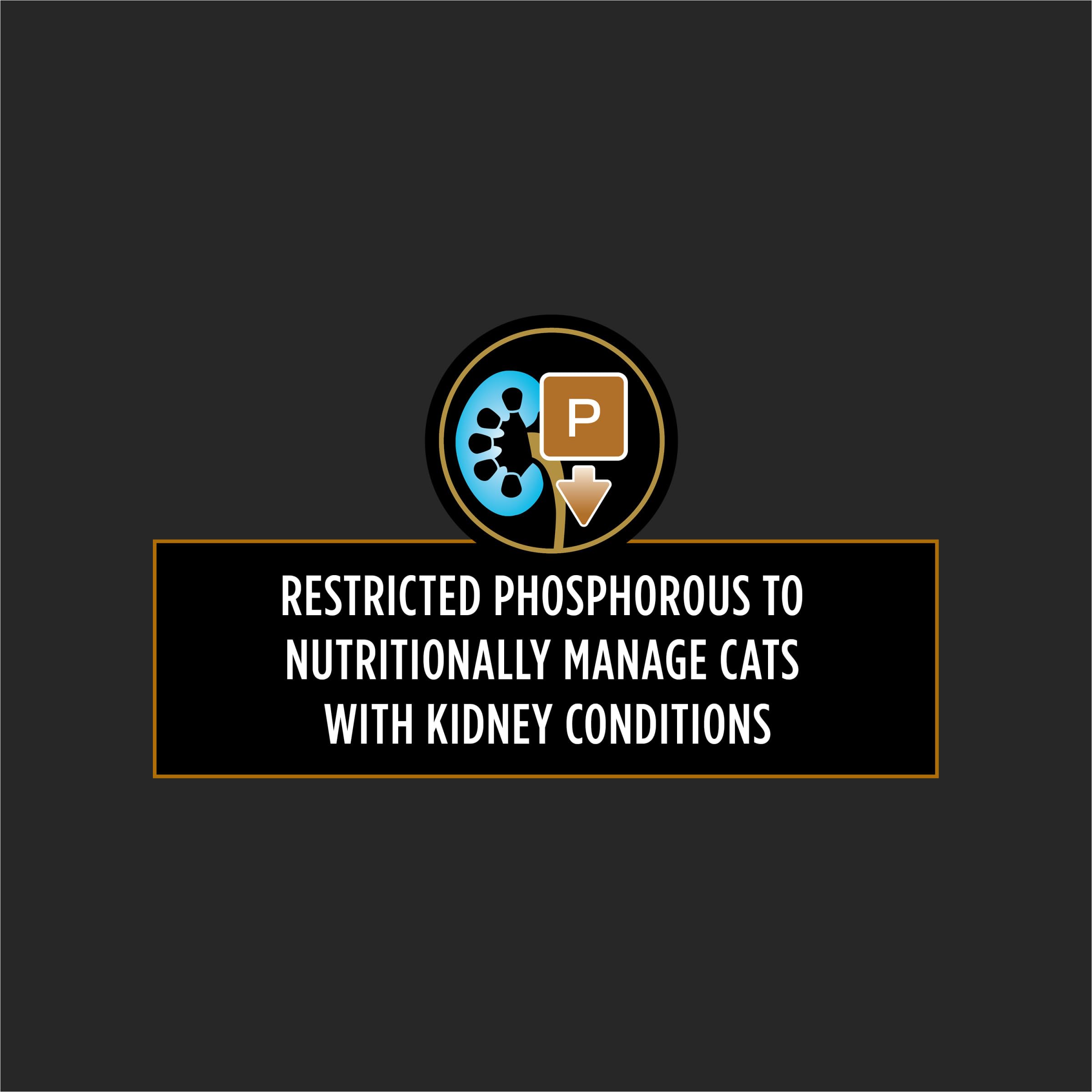 Purina Pro Plan Veterinary Diets NF Kidney Function Advanced Care Feline Formula Adult Wet Cat Food - (Pack of 24) 5.5 oz. Cans