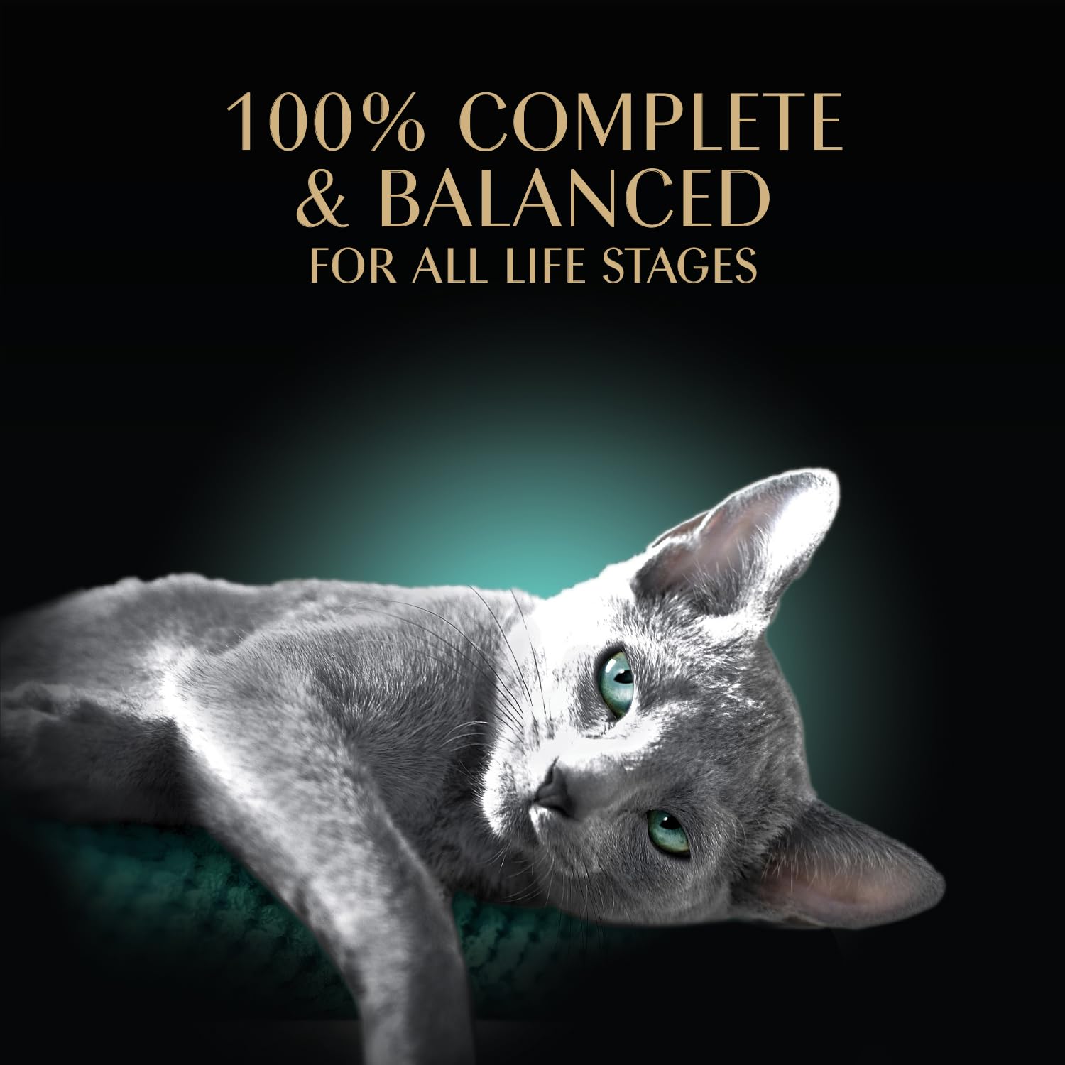 Sheba Perfect Portions Wet Cat Food Cuts in Gray Savory Mixed Grill Entree, 2.6 oz. Twin-Pack Trays (24 Count, 48 Servings)