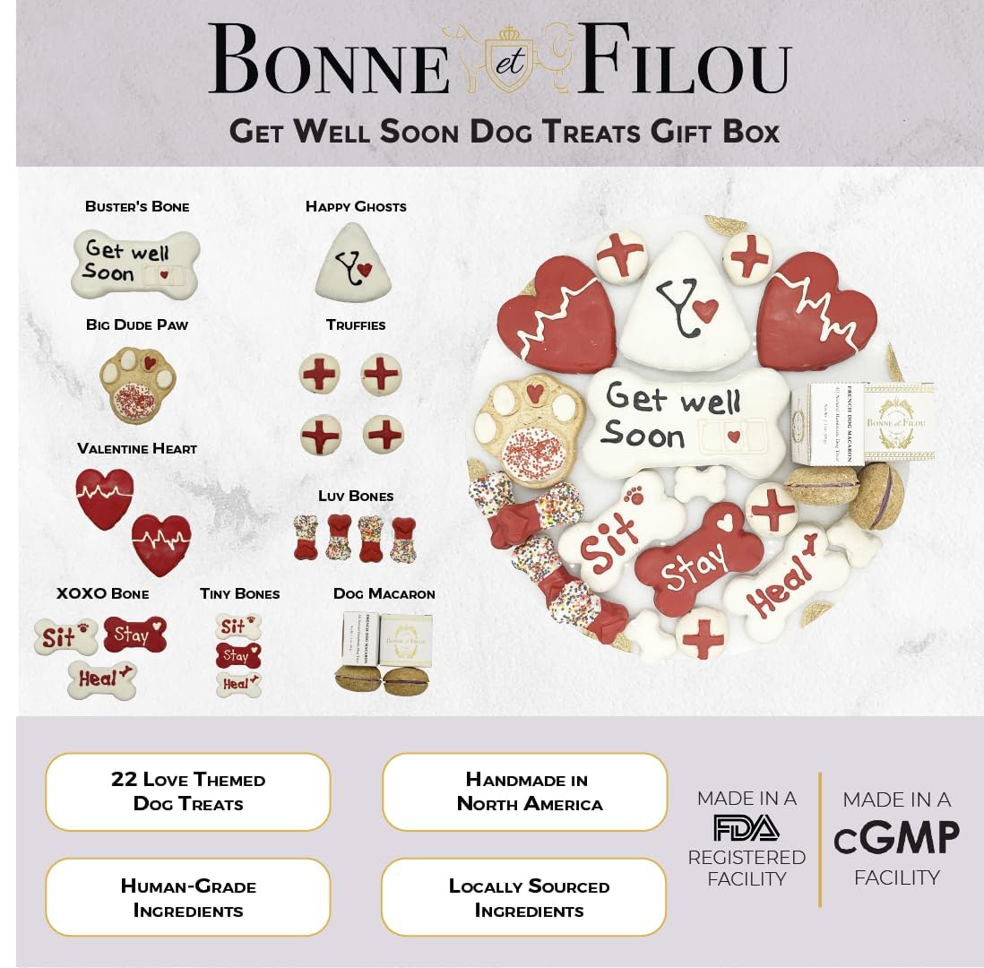 Bonne et Filou Get Well Soon Dog Treats, Gourmet Gift Box, 21 Luxury Macarons, Truffles & Bone Cookies, Healthy & Delicious Snac