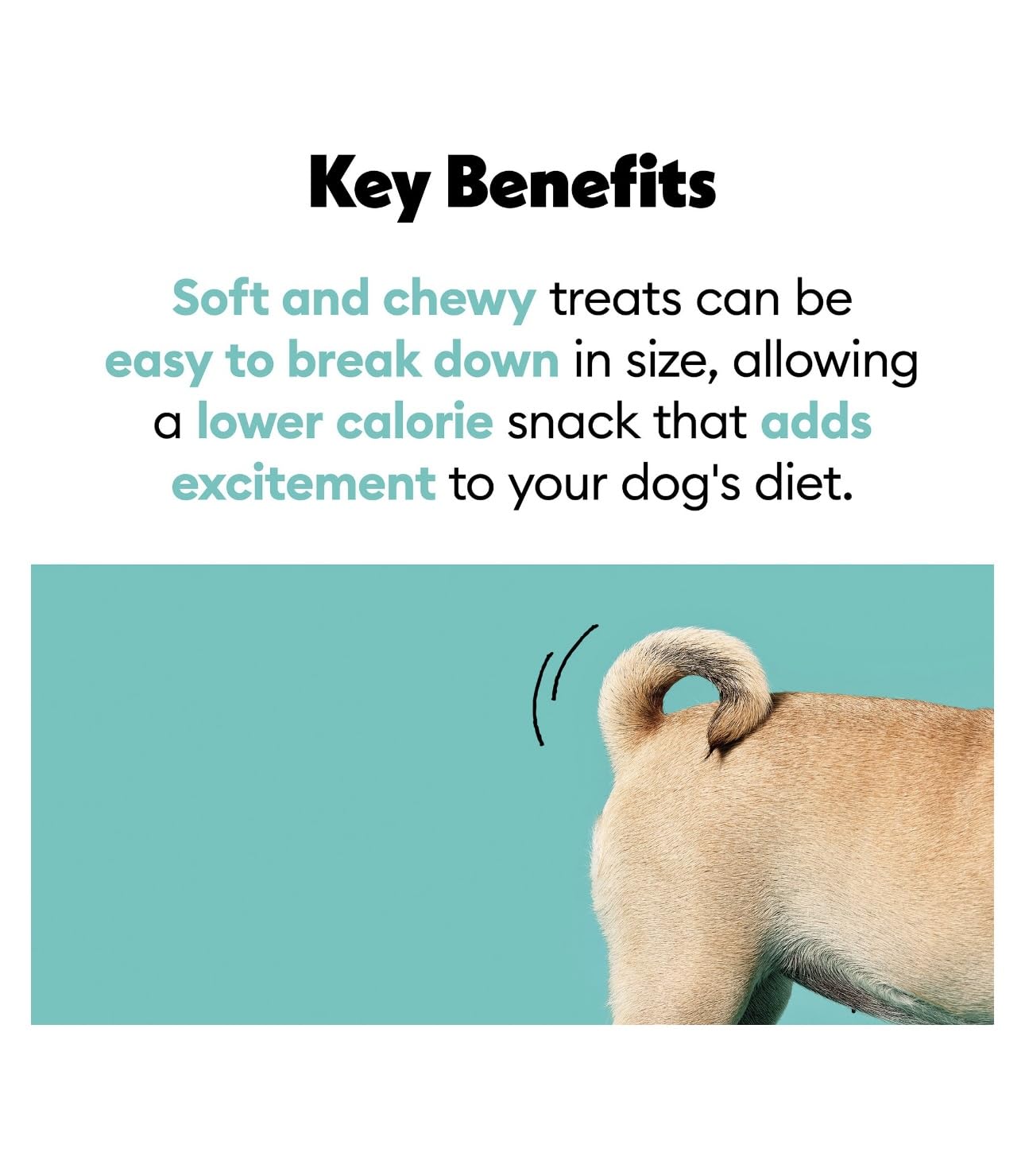 Wiggles & Wags Twists Dog Treats, Beef & Sweet Potato, Soft and Chewy, Grain Free, All Natural, 16 oz with DN Essentials Waste B