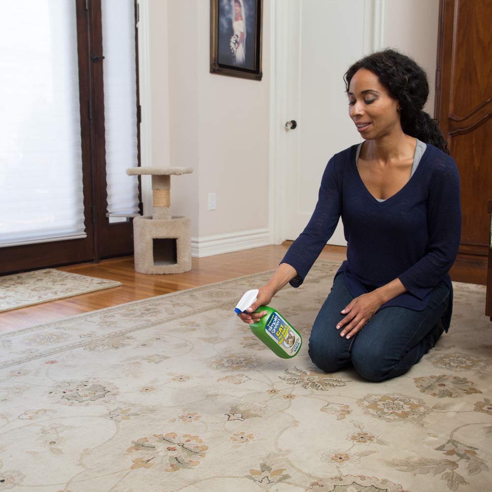 Simple Green Cat Stain & Odor Remover - Enzyme Cleaner for Urine, Feces, Blood, Vomit - 32oz Milky White