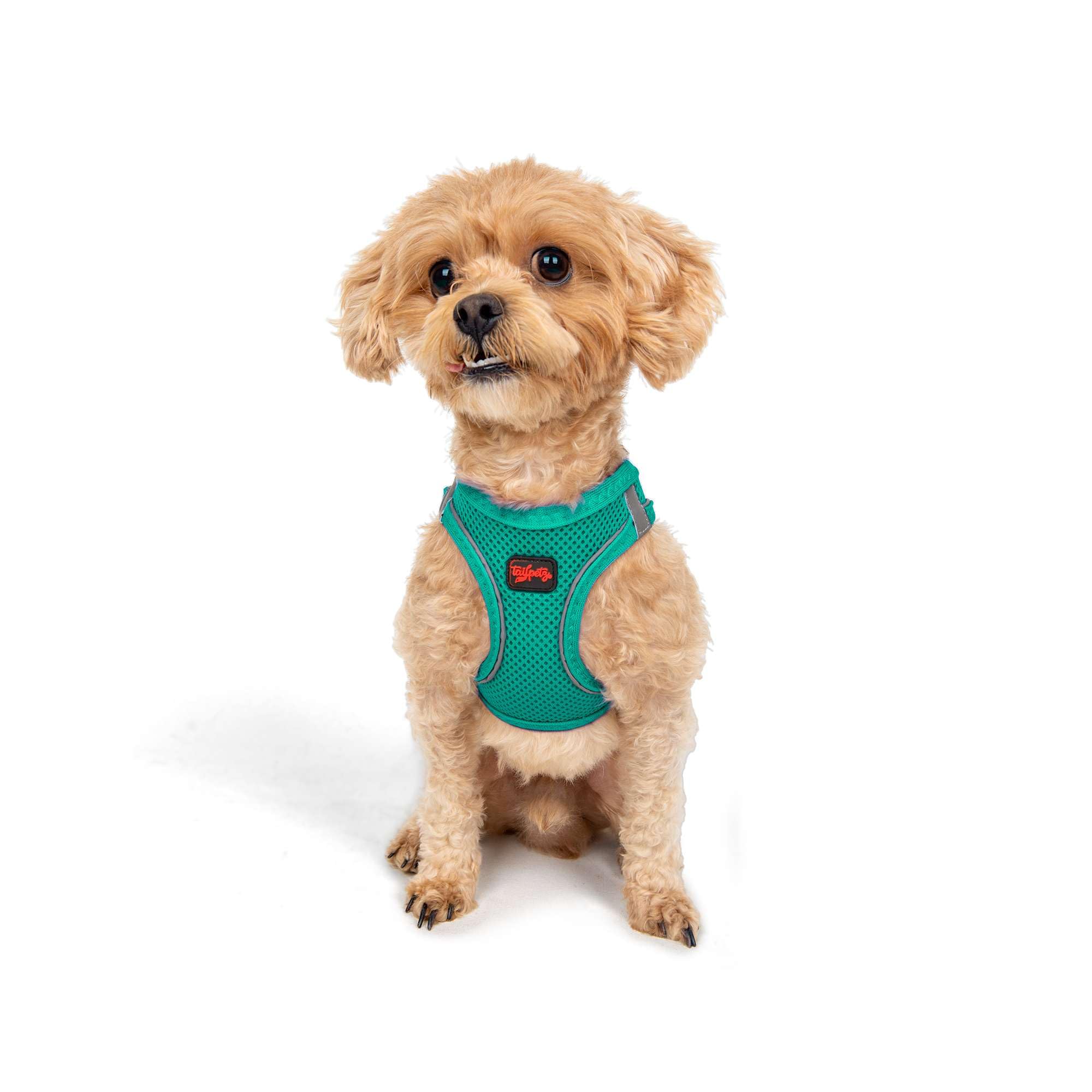 Tailpetz Dog Harness with Breathable Mesh, Reflective, Step-in, No Pull Dog Vest Harness for Small and Medium Dogs and Cats, Eme