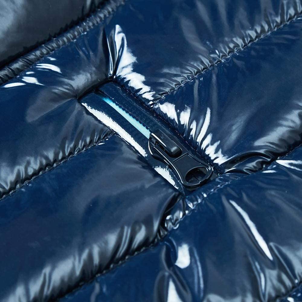 Blueberry Pet Cozy & Comfy Windproof Lightweight Quilted Fall Winter Glossy Dog Puffer Jacket In Navy Blue, Back Length 17', Size 16, Warm Coat For Large Dogs