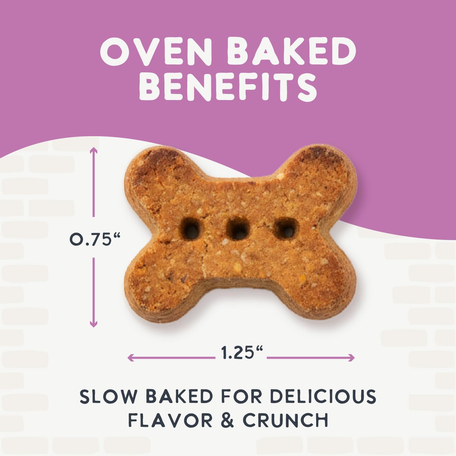 Health Extension Oven-Baked Dog Treats, 2.25lb (1.02kg), Salmon & Kale Recipe - Gluten & Grain-Free, Superfood-Infused, Crunchy