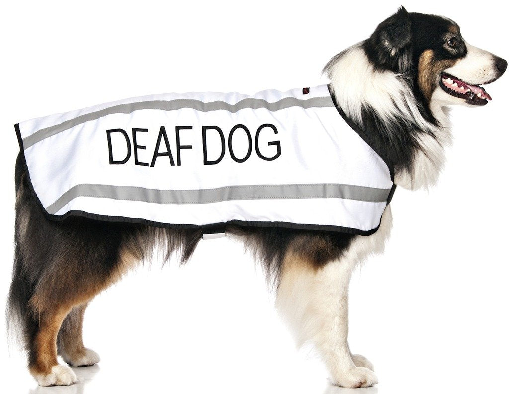 Deaf Dog White Warm Dog Coats S M M L L Xl Waterproof Reflective Fleece Lined Prevents Accidents By Warning Others Of Your Dog In Advance (M-L Back 17' (43Cm)