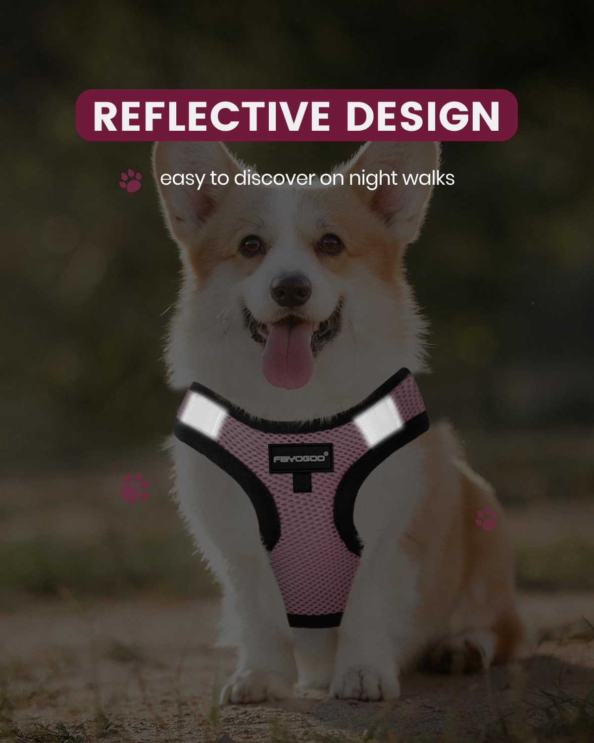 FAYOGOO Service Dog Vest for Small Breed - Lightweight Dog Harness with 6PCS Removable Patches - Puppy Harness and Leash Set for