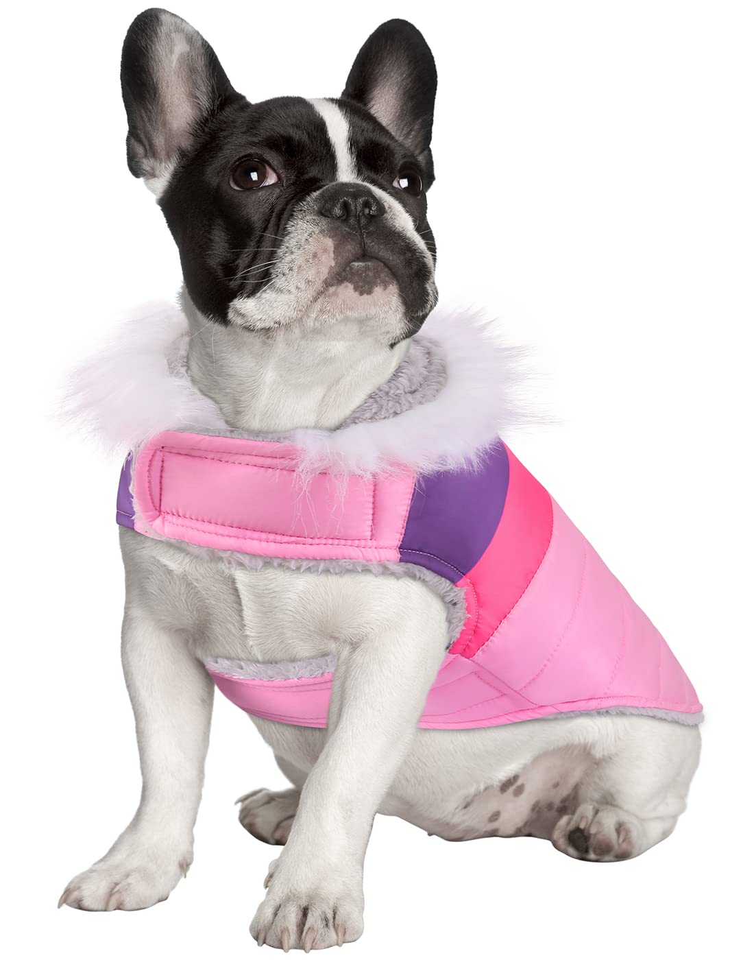Hde Dog Puffer Jacket Fleece Lined Warm Dog Parka Winter Coat With Harness Hole Pink Stripe - S