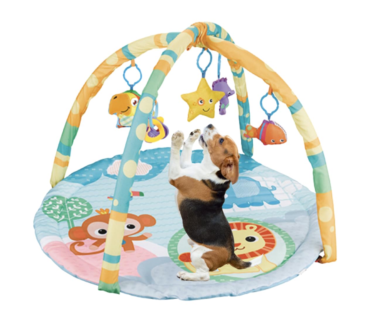 Cutie Patootie Playhouse Puppy Play Gym - Dog & Cat Activity Mat With Squeaky Toys - Interactive Sensory Mat For Pets (Suitable