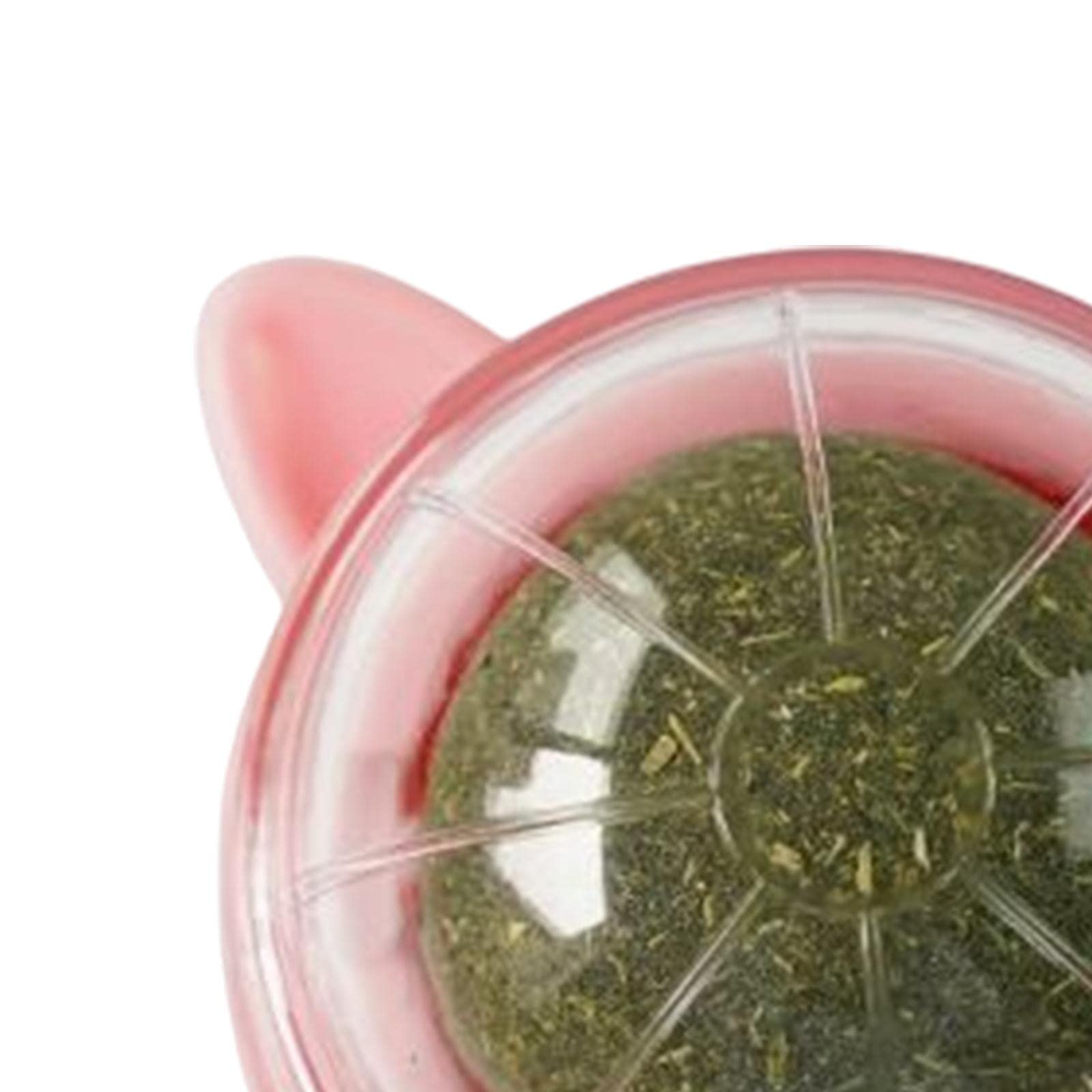 The Style Sutracatnip Ball Toys Teething Toy Snack Pet French Windows With Lid Chew Cat Toy Style B|Pet Supplies | Cat Supplies 