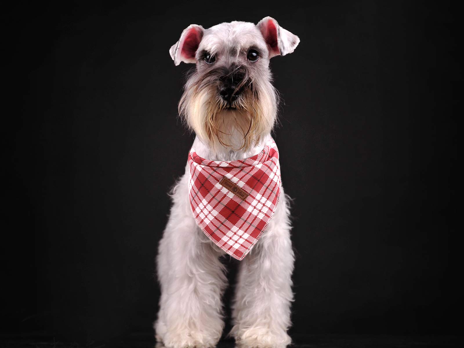 Lionet Paws Christmas Dog Bandana Washable Cotton Handkerchief Scarf Triangle Bandana For Small Medium Large Dogs Red Grid