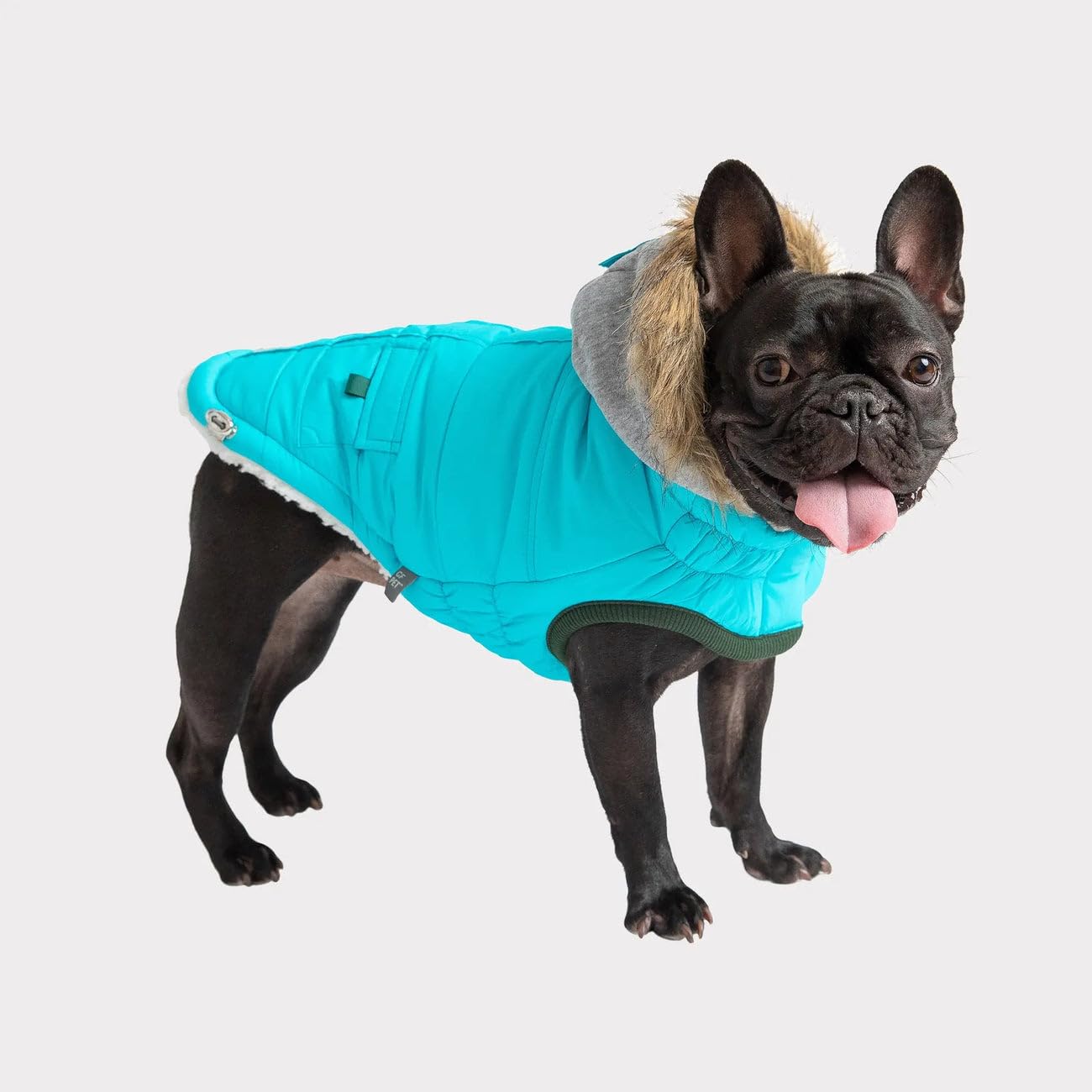 Gf Pet - Winter Sailor Parka - (Large, Aqua)