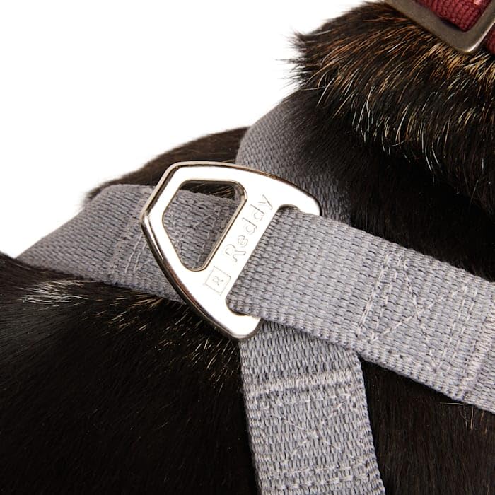 Reddy Grey Reflective Dog Harness X-Large/Xx-Large