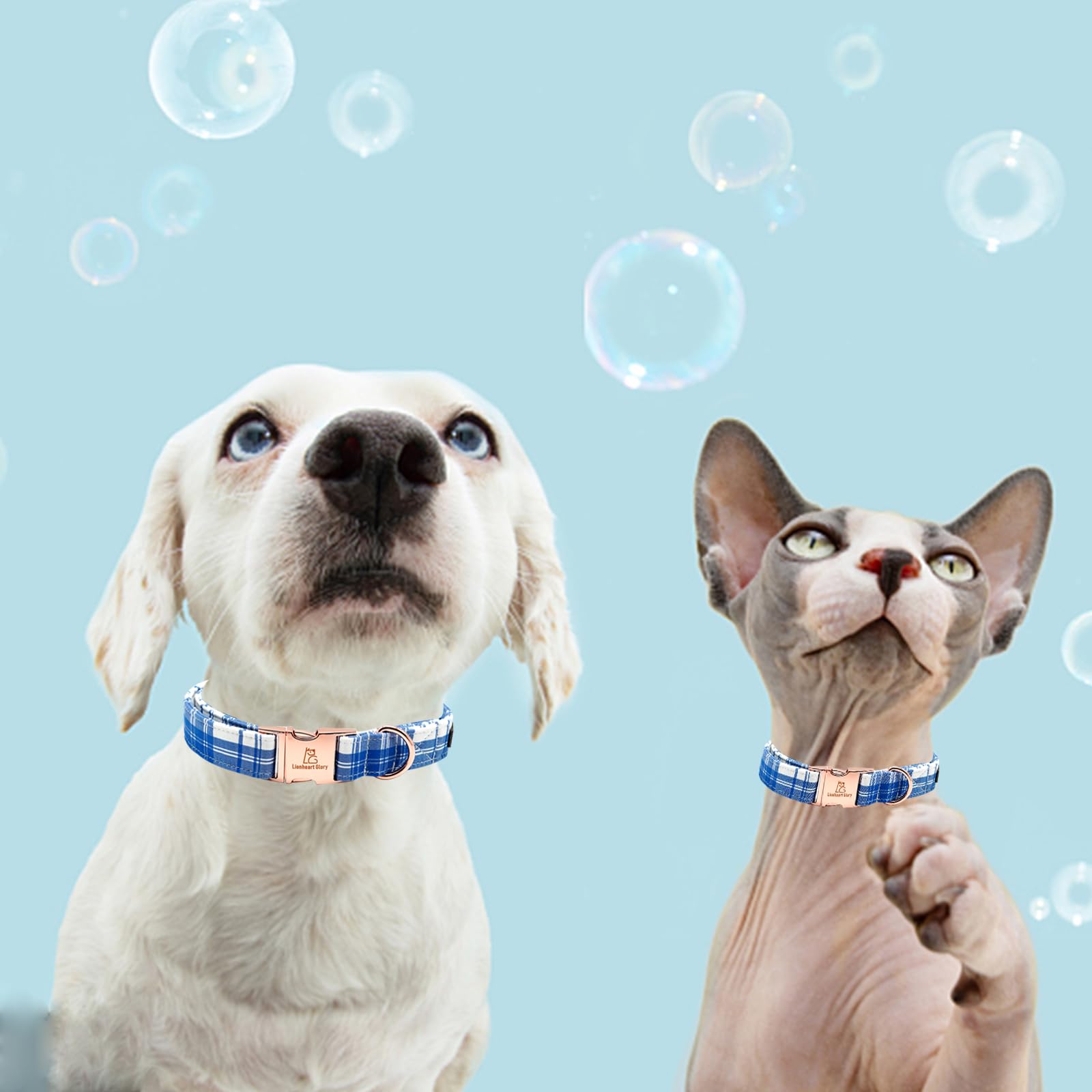 Lionheart Glory Adjustable Blue Plaid Heavy Duty Dog Collar For Large Dogs