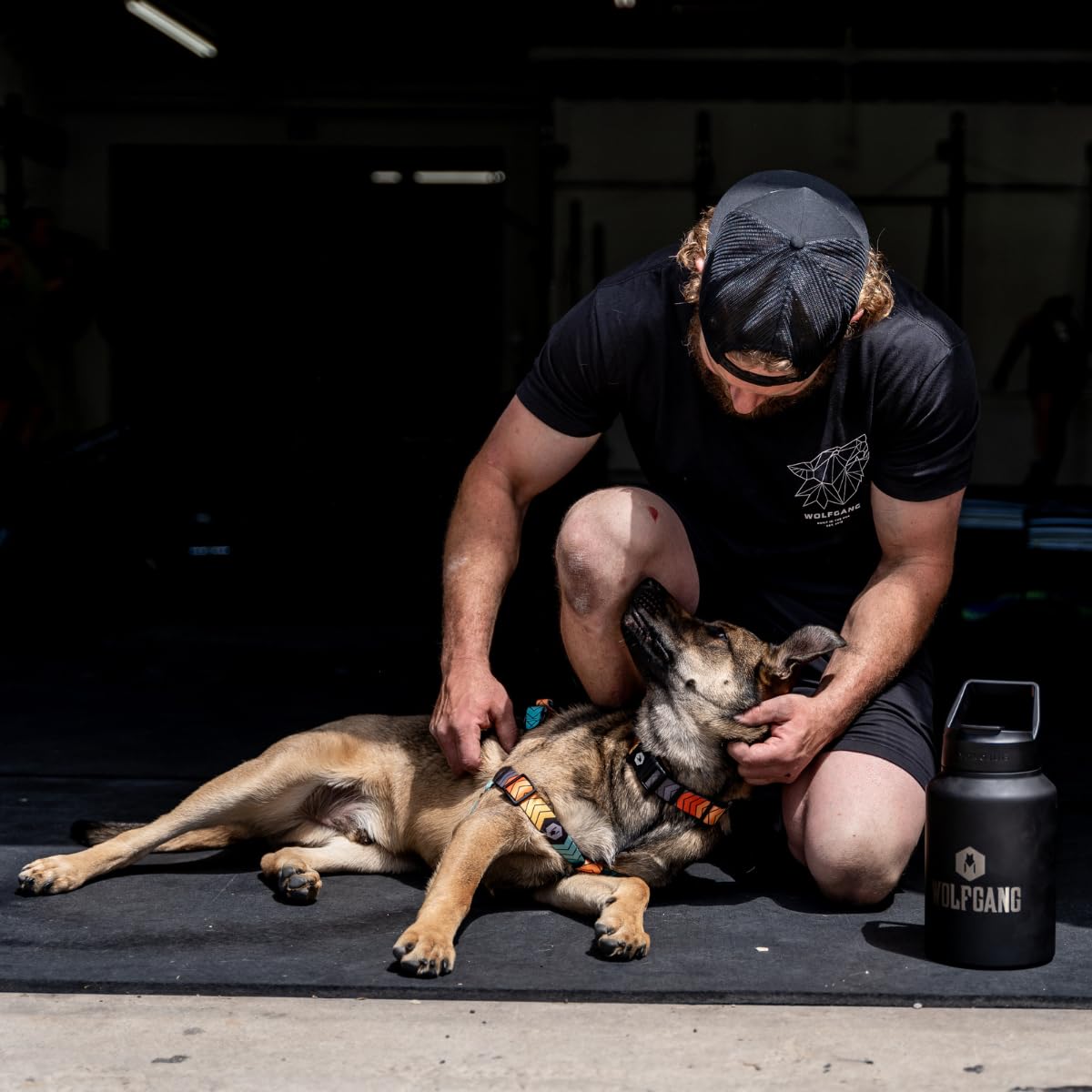 Wolfgang Heavy Duty Martingale Dog Collar With Quick Release Nylon Buckle For Walking & Training, Chevtech Print, Medium