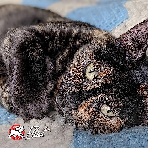 Fromm Four-Star Nutritionals Duck A La Veg Cat Food - Premium Dry Cat Food - Duck Recipe - 10 lb