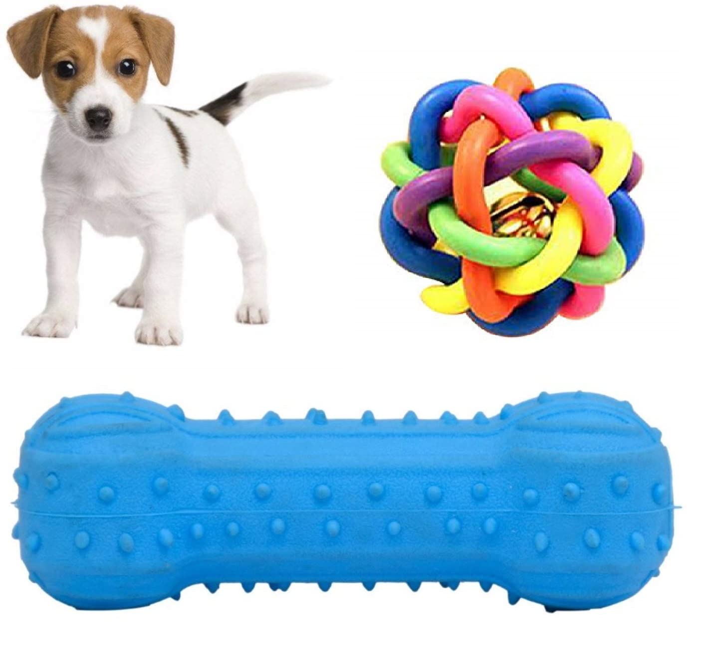 RvPaws Natural Rubber Cute Colourful Small Size Multicolor Ball with Bone Squeak Toy for Puppy, Blue (Small)