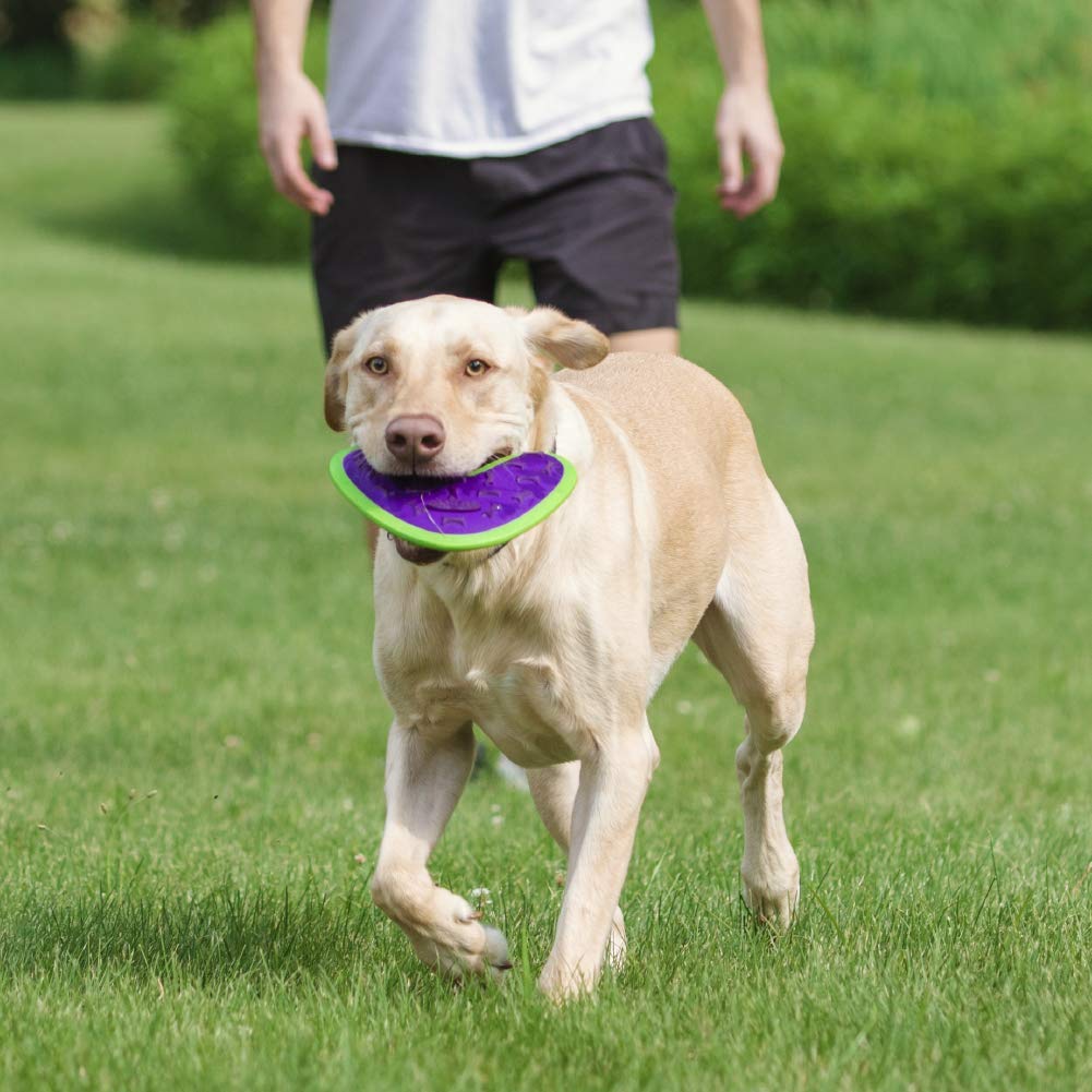 Hero Dog Outer Armor Boomerang Blue Large
