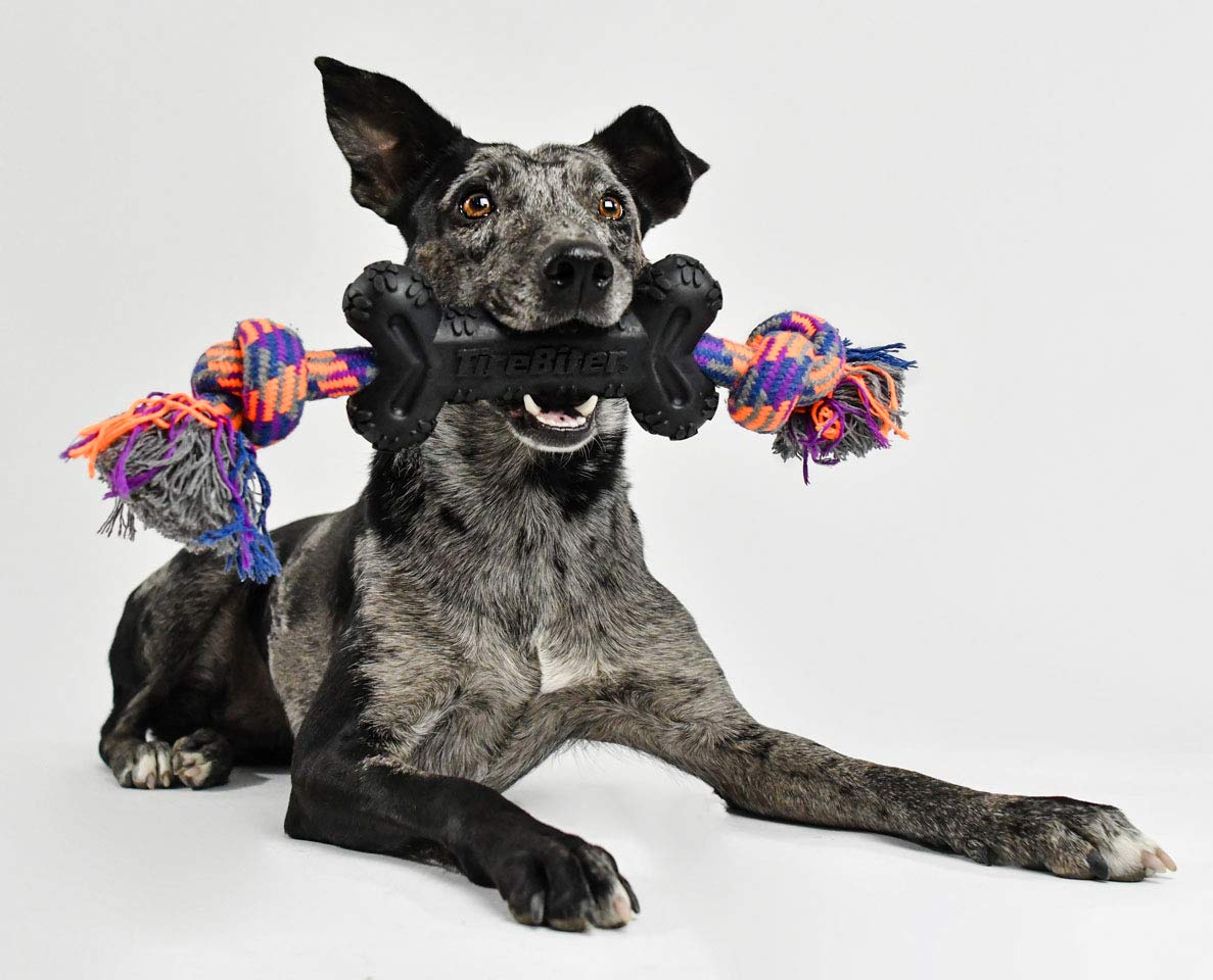 Mammoth Pet Products Tirebiterii Bone With Extra Cotton-Poly Rope “ Natural Rubber Dog Toys For Extreme Chewers “ Aggressive Chewer Toys For Dogs - Large 15, Black (35023F)