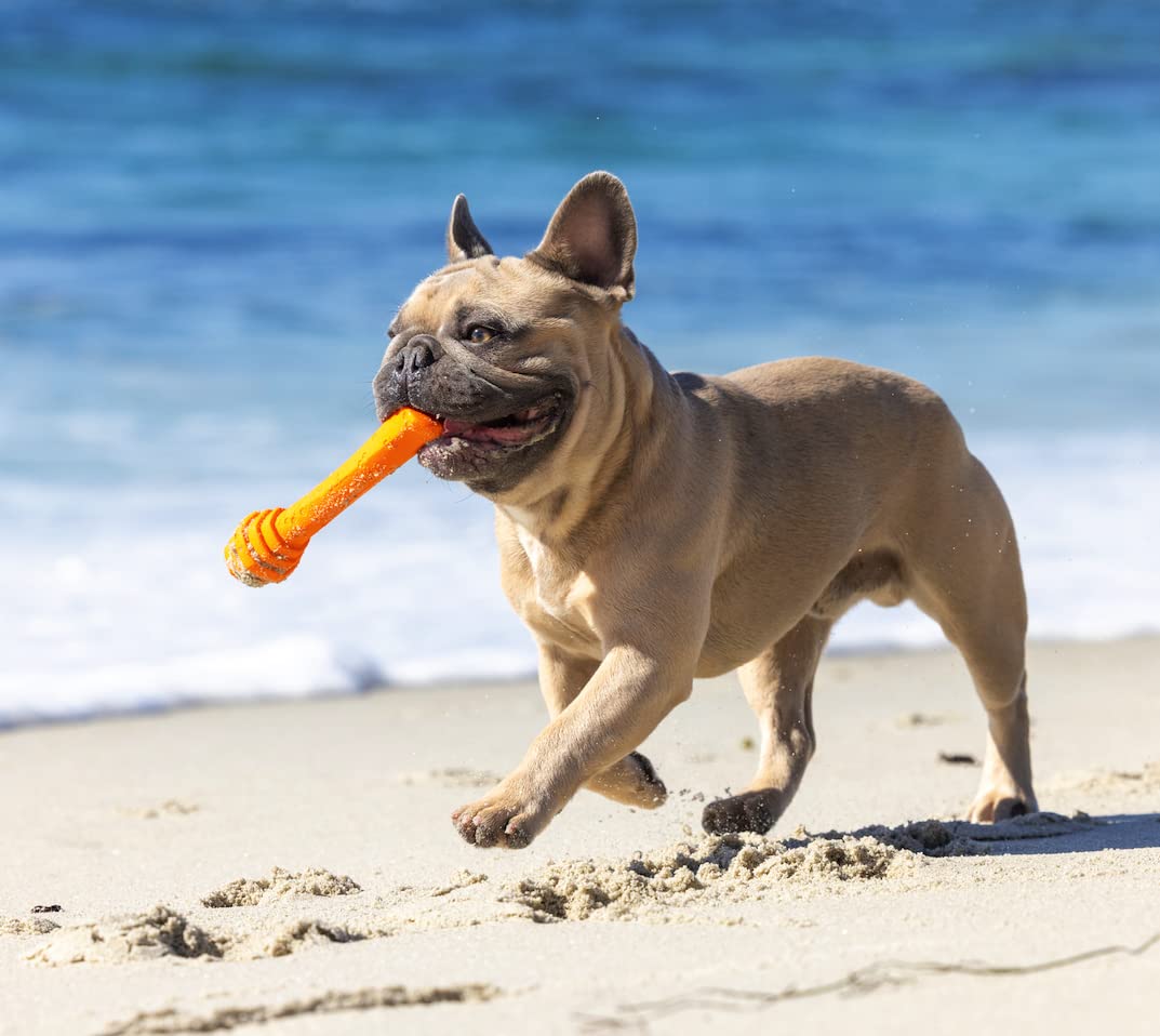 Project Hive ·Pet Company· - Sweet Mango Scented - Hive Dog Fetch Stick For Large Breeds - Dog Stick Toy - Floats In Water - Treat Dispenser Toy - Durable And Tough - Made In The Usa