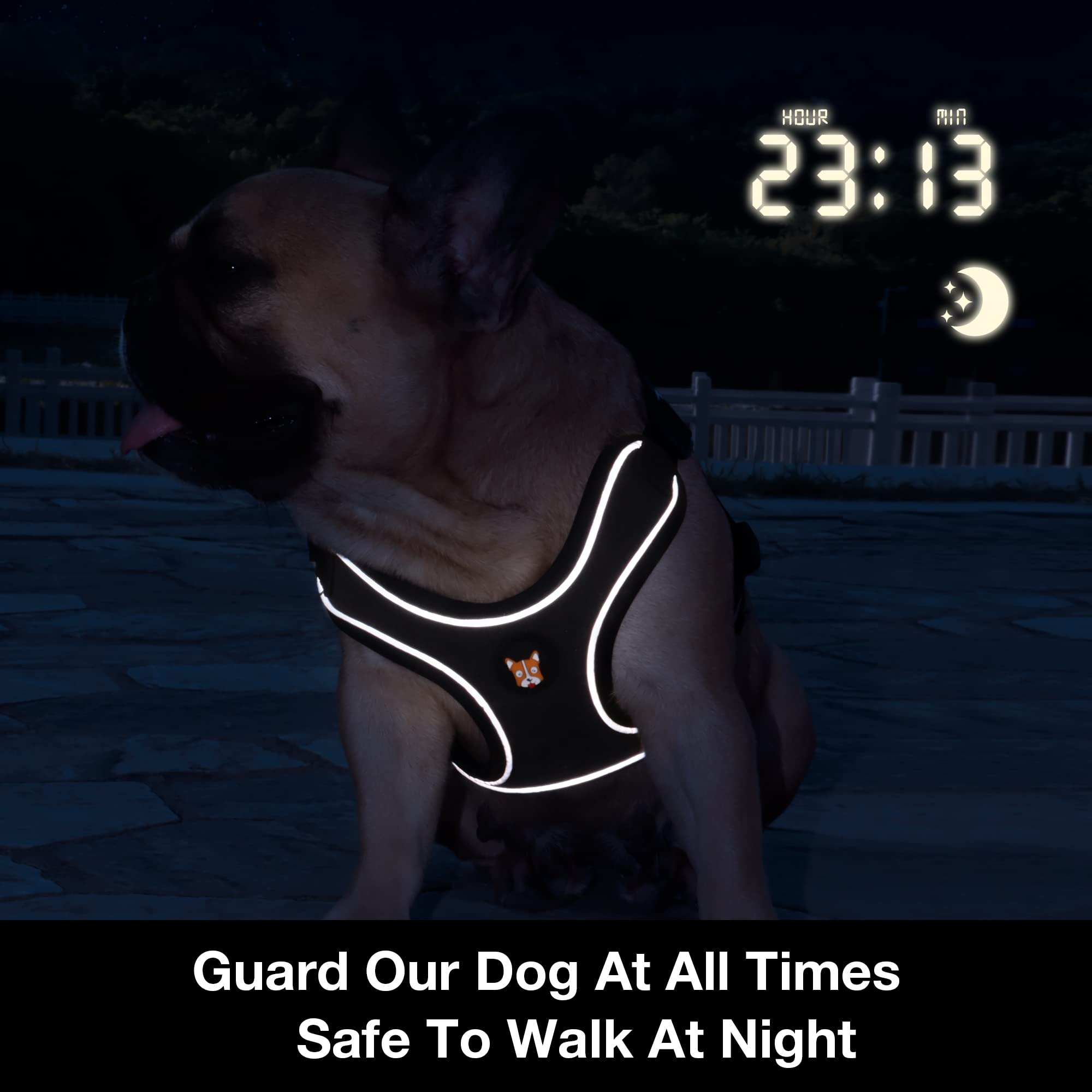 Huggiegems Adjustable Dog Harness Vest And Leash Set For Small, Medium Dogs No Pull, Step In Escape Proof Reflective Easy Walk Puppy Harness, Red, Xs (Comes With A Measuring Tape)