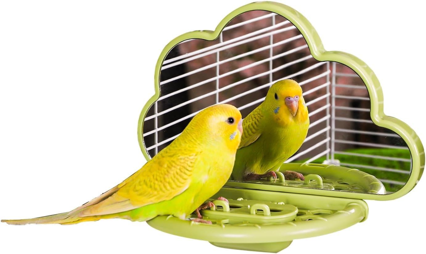 Bird Mirror With Perch Stand, Bird Toys For Parakeet Cockatiel Conure Lovebirds Finch Canaries (Green)