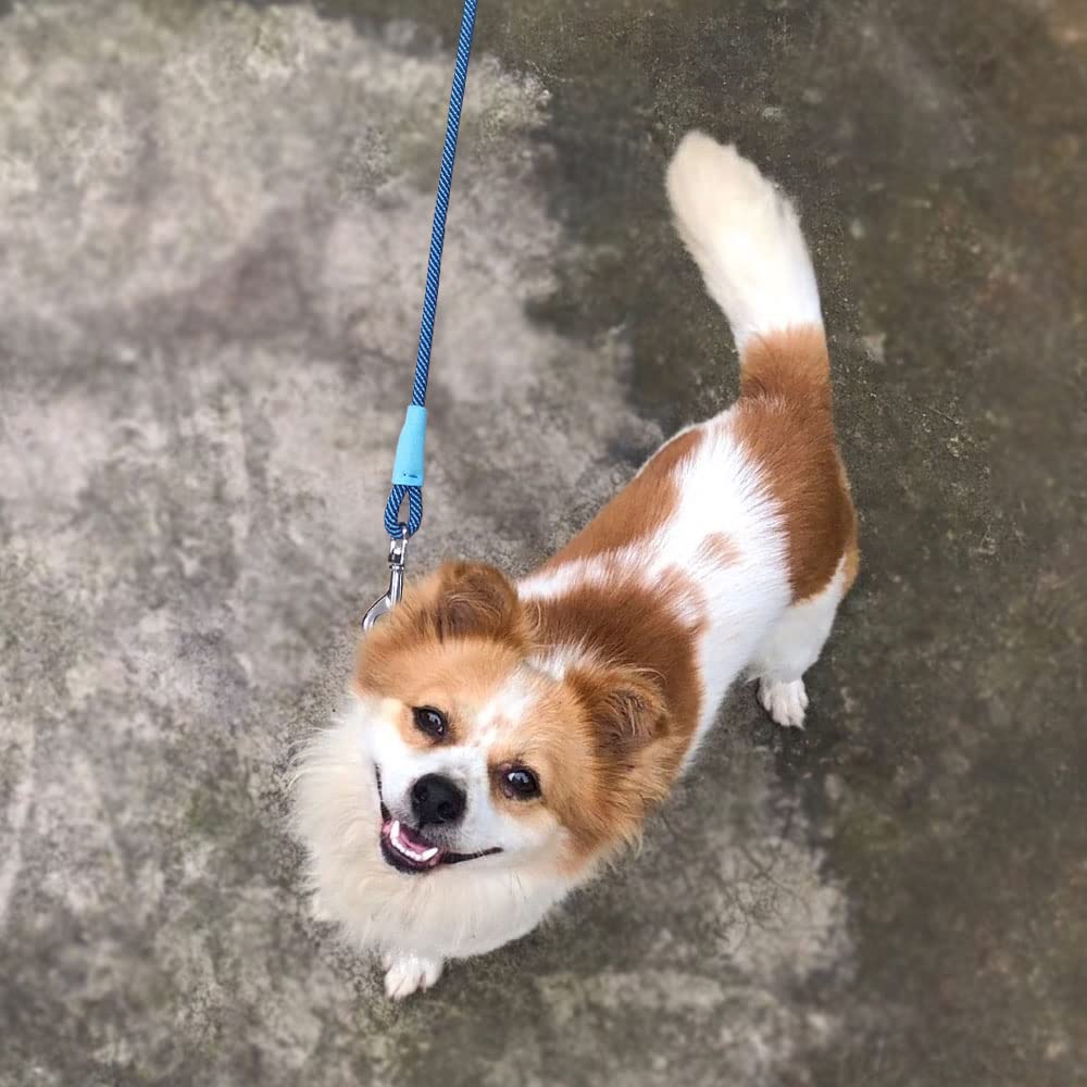 Boswany Small Dog Leash 7Ft, Lightweight Nylon Rope Leash For Puppy Pets, Cats, Small Animals Medium Dogs Walking, Blue