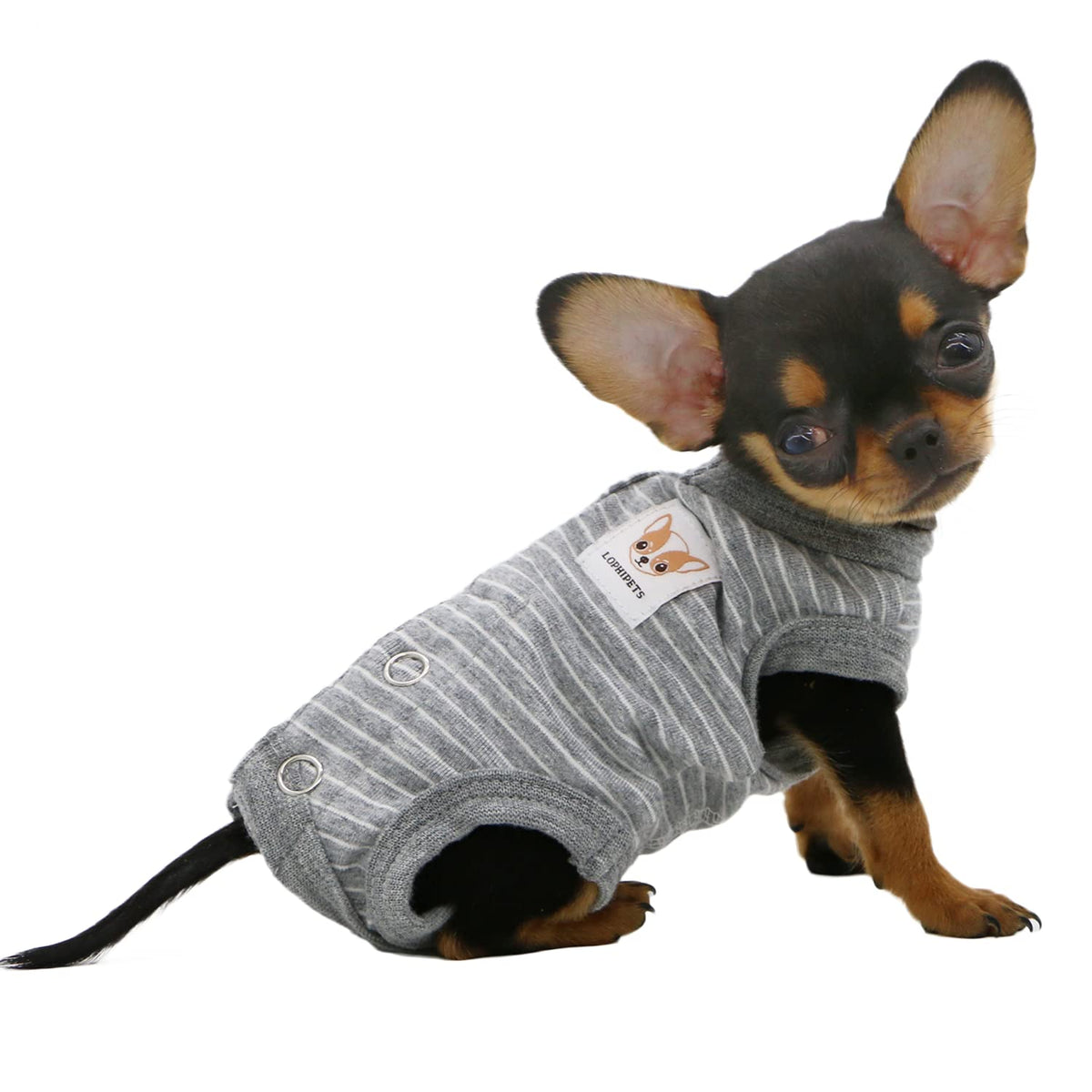 Lophipets Girl Dog Shirts Recovery Suit Pajamas For Small Teacup Dog Chihuahua Yorkie Puppy Cat Clothes-Gray Strips/Xs