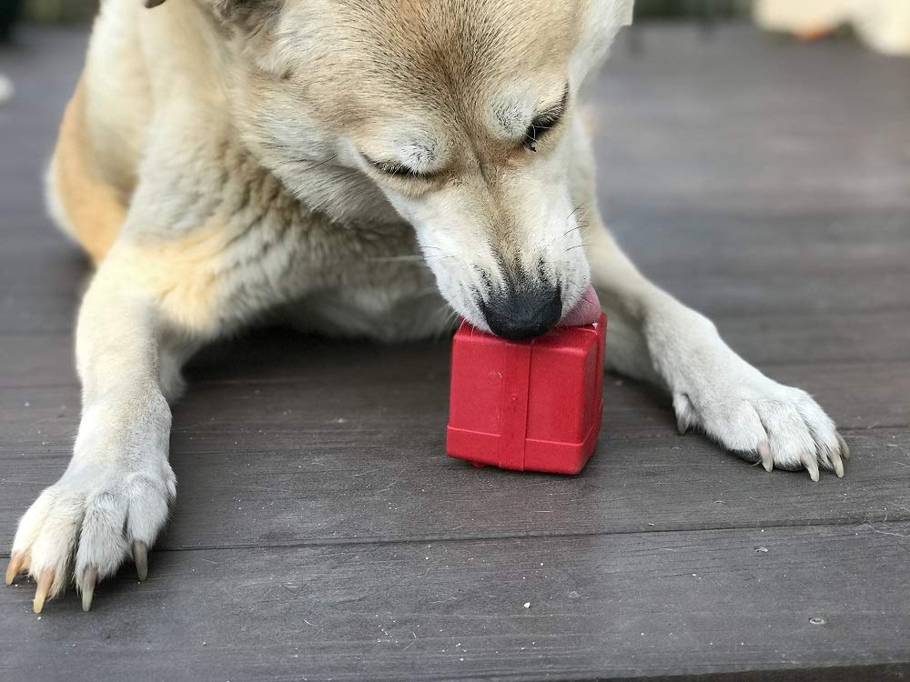 SodaPup Gift Box - Durable Dog Treat Dispenser & Chew Toy Made in USA from Non-Toxic, Pet Safe, Food Safe Natural Rubber Materia