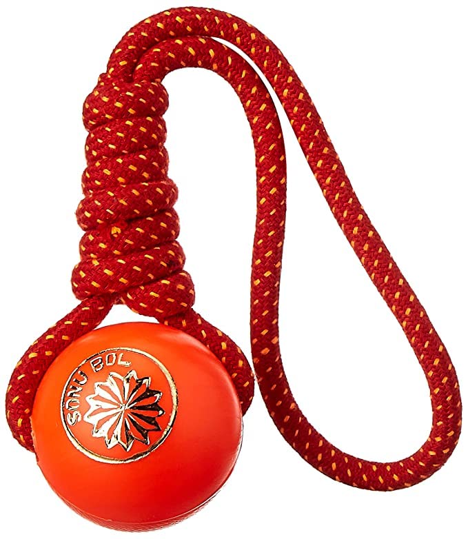 Psk Pet Mart Durable Knotted Rope Toy With Plastic Ball For Playing And Training Dogs And Puppys (Multicolor)