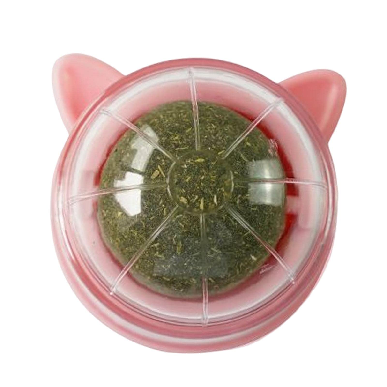 Myaddiction Catnip Ball Toys Teething Toy Snack Pet French Windows With Lid Chew Cat Toy Style L